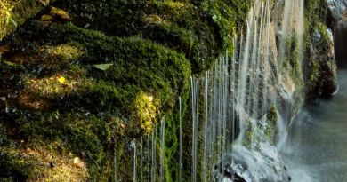 Экскурсия из Ессентуков: Медовые водопады – г. Кольцо, Чайный домик фото 10756