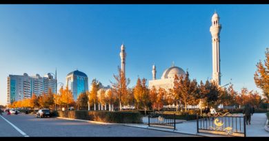Остановка на маршруте — Город Шали