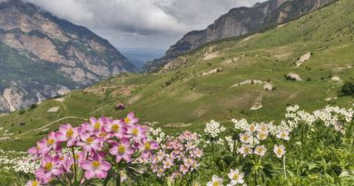 Экскурсии в `Замок-фрегат в Ханазе` из Ессентуков